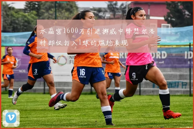 水晶宫1600万引进挪威中锋瑟尔洛特却仅打入1球的尴尬表现